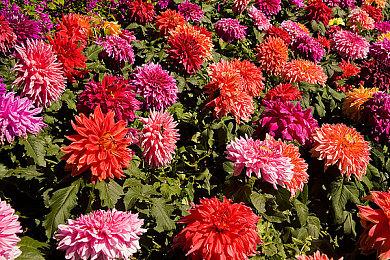 指向点击类剧情向角色扮演游戏《四魂-X》现已在Steam平台正式推出